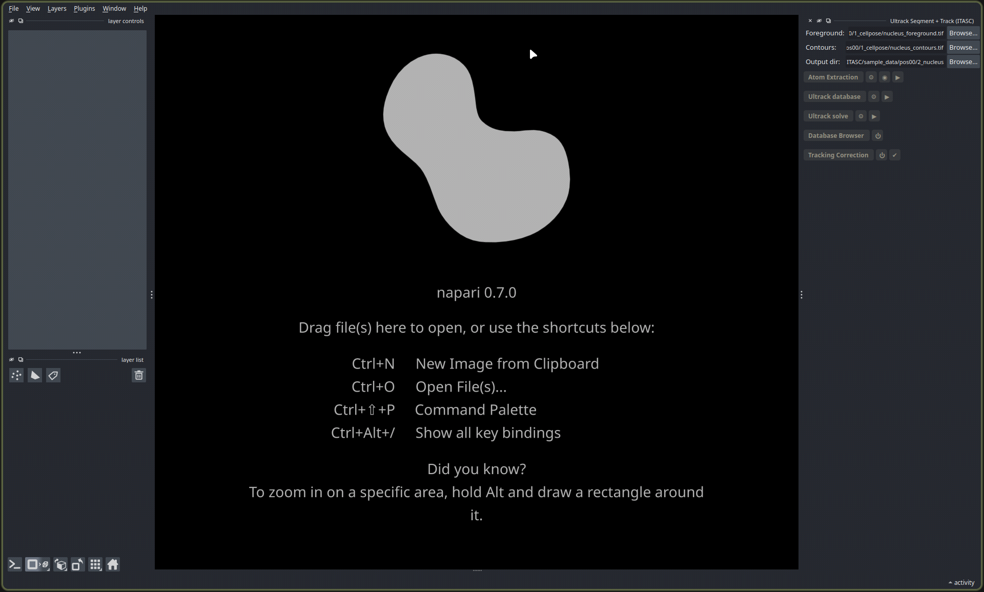 The Ultrack Segment + Track panel in napari, with foreground, contours, and output paths set.
